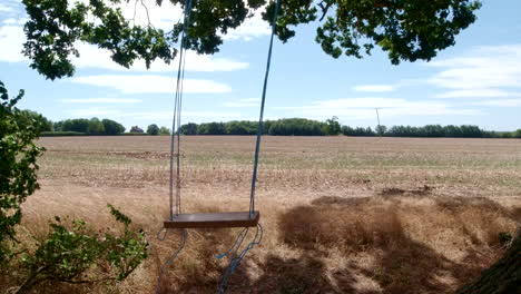 simple swing hanging from oak tree blowing in the wind, slow motion, static