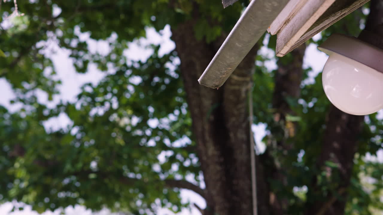 슬로우 모션 빗방울이 계절성 폭풍우 후 마지막 비에서 떨어지는