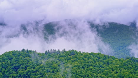 a surreal aerial look at the fog-covered smoky wilderness