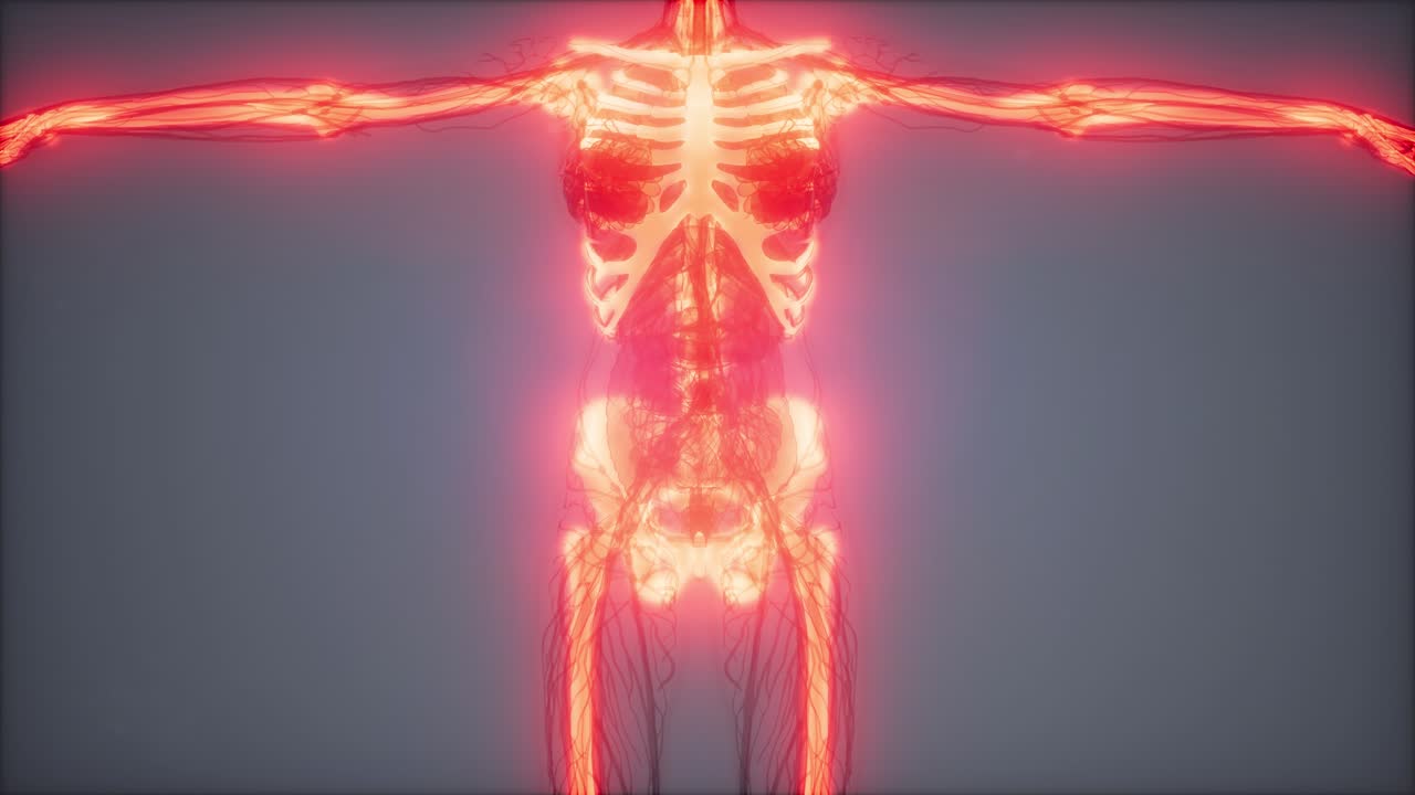 눈에 띄는  ⁇ 가 있는 투명한 인간 몸