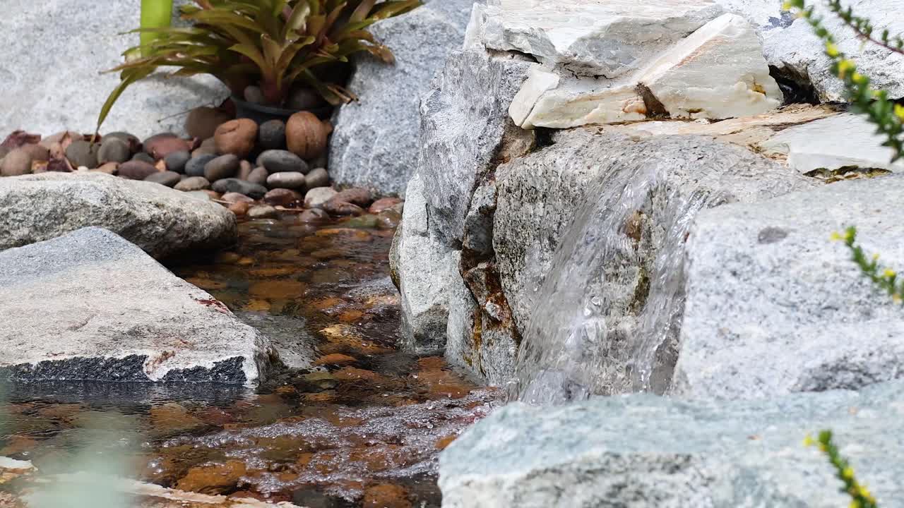 바위 와 식물 위 에서 흐르는 작은 폭포