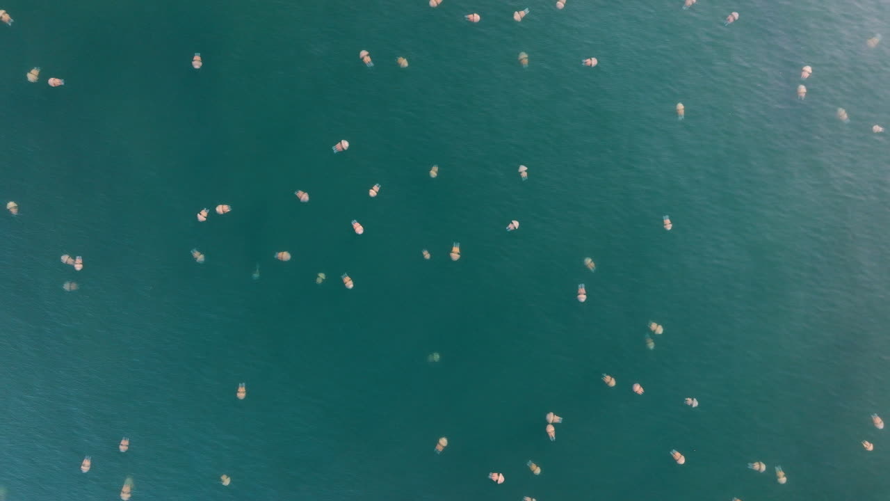 Floating objects on the water's surface