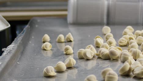 dumpling production line