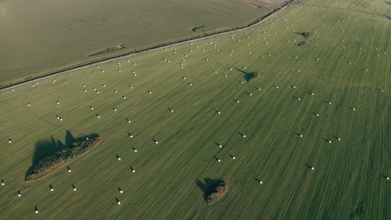 수확 중에 신선한 초록색 과 건조한 을 가진 시골 풍경의 공중 전망.. 농경지에서 트레일 라인의 상단 전망, 농업 개념.