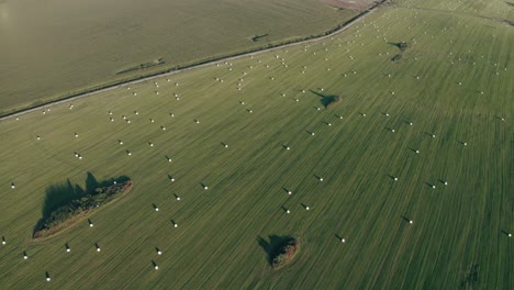 vista aérea de un paisaje rural con campo verde fresco y balas de heno secas durante la cosecha. tiro. vista superior de las líneas de senderos en tierras de cultivo, concepto de agricultura.