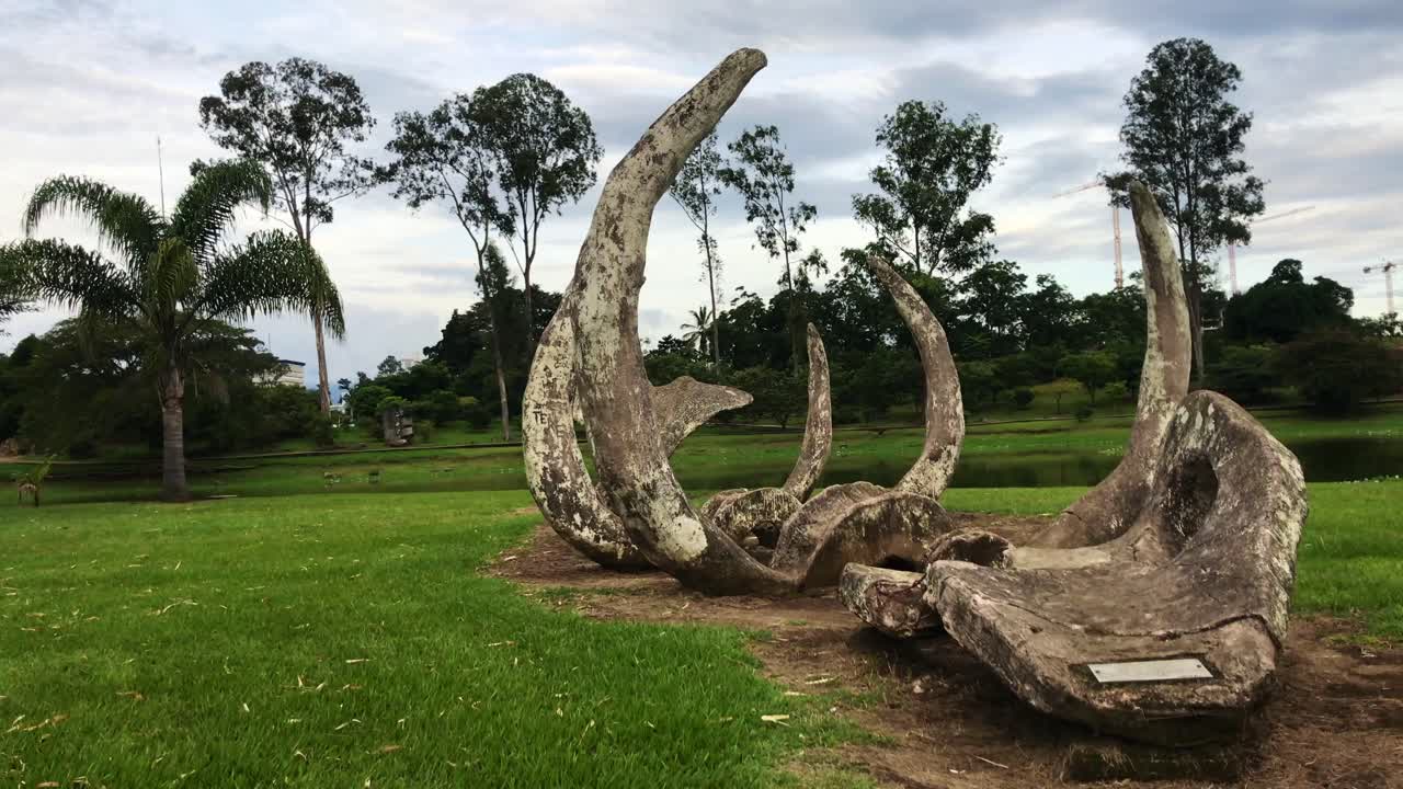 Lake on Sabana Central Park on a rainy afternoon Breaking the Rush hour in the middle of the city