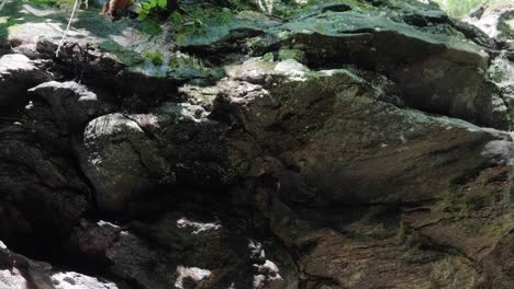 el agua gotea sobre las piedras a lo largo del arroyo wissahickon