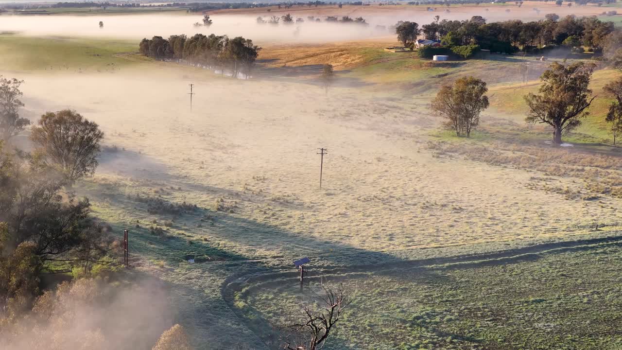 Drone glides above frosty farmland with scattered trees and morning fog, capturing golden sunlight, long shadows, and tranquil countryside atmosphere in New South Wales