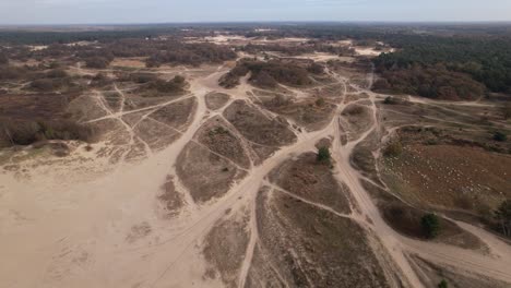 Aerial-view-of-Loonse-en-Drunense-Duinen-sand-dunes-in-The-Netherlands