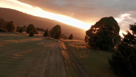 aerial cinematic footage from fpv racing drone of a sun lit meadow during a summer sunset