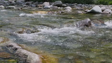 stream flowing over rocks during summer in tropical forest