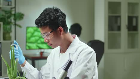 biochemist scientific taking green liquid with micropipette putting on aloe vera observing genetic mutation typing biochemistry expertise on computer. biologist man working in biochemistry laboratory