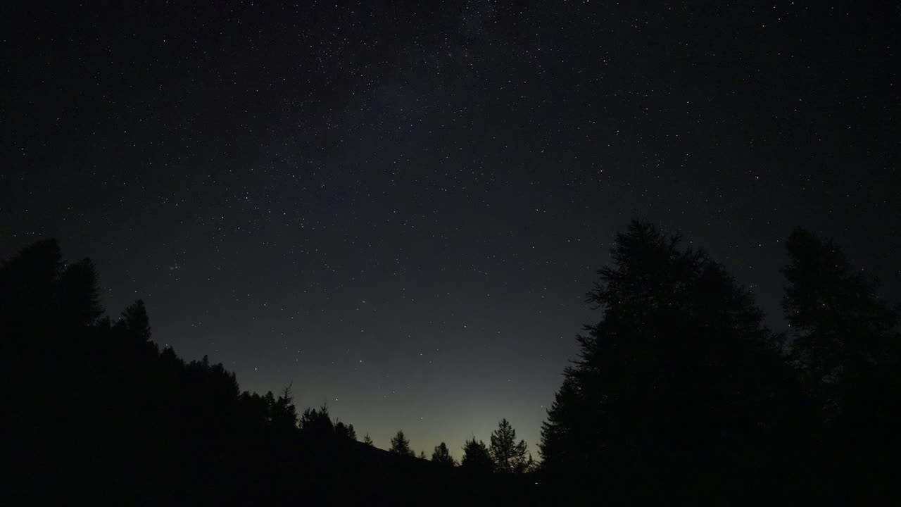 Night sky over forest with stars twinkling, serene and peaceful