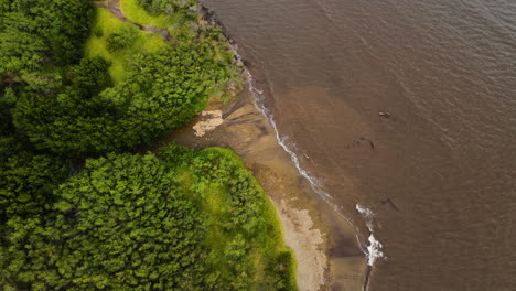 brown polluted waters caused by sediment deposits in kawela, molokai island, hawaii