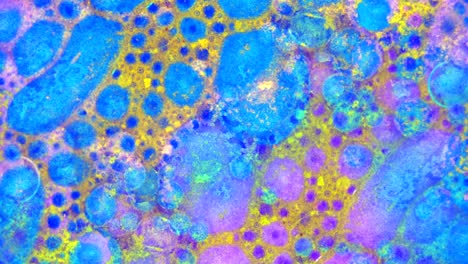 fabulous patterns