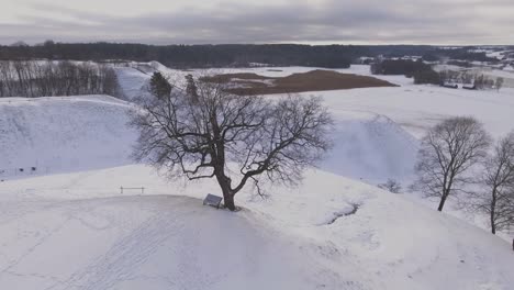 Alter-Baum-Auf-Einer-Verschneiten-Wallburg-Im-Winter-1