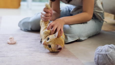 mujer acariciando a un gato