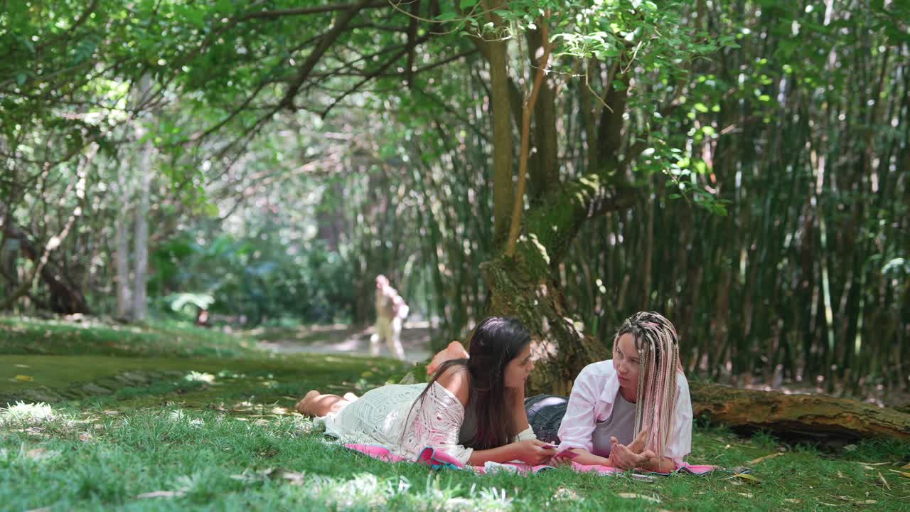 Women having a picnic in a bamboo forest