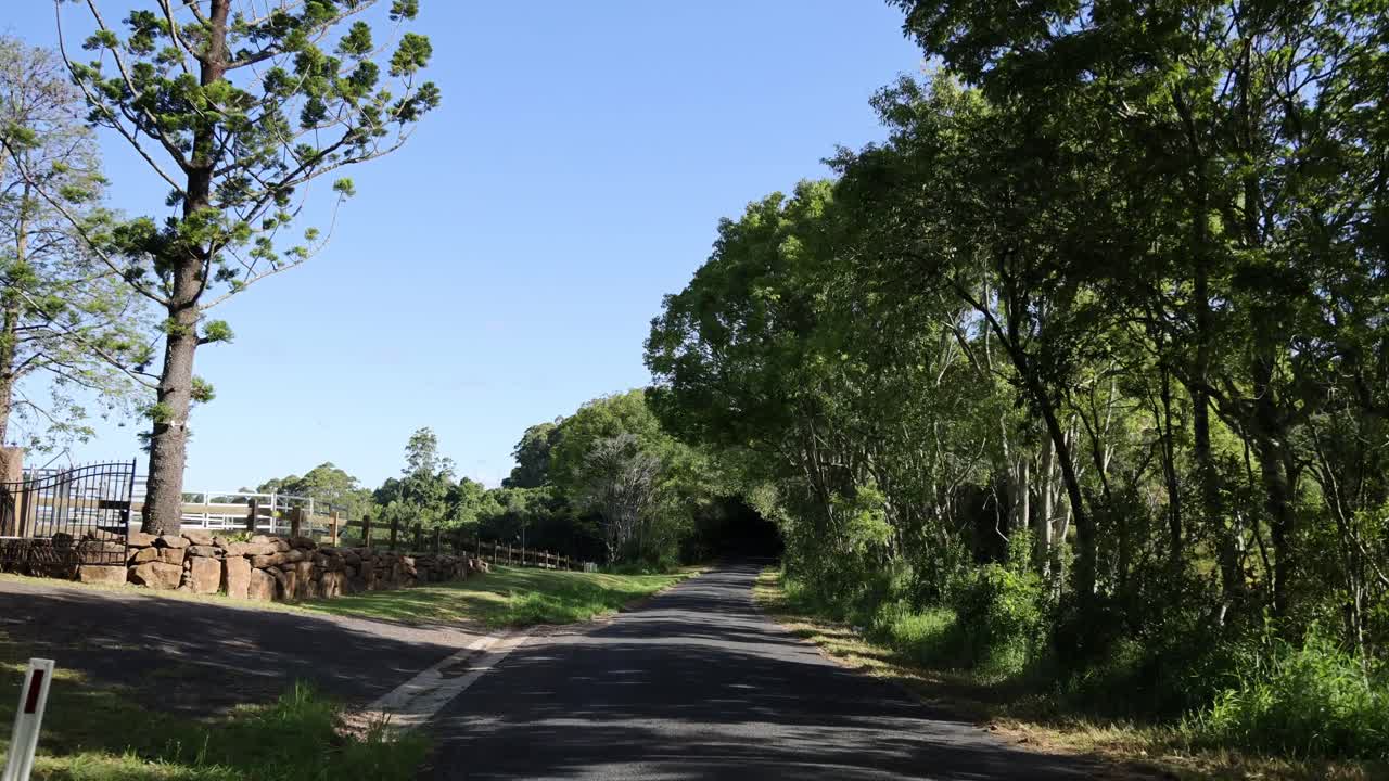 푸른, 나무로 둘러싸인 시골 도로를 따라 경치 좋은 드라이브