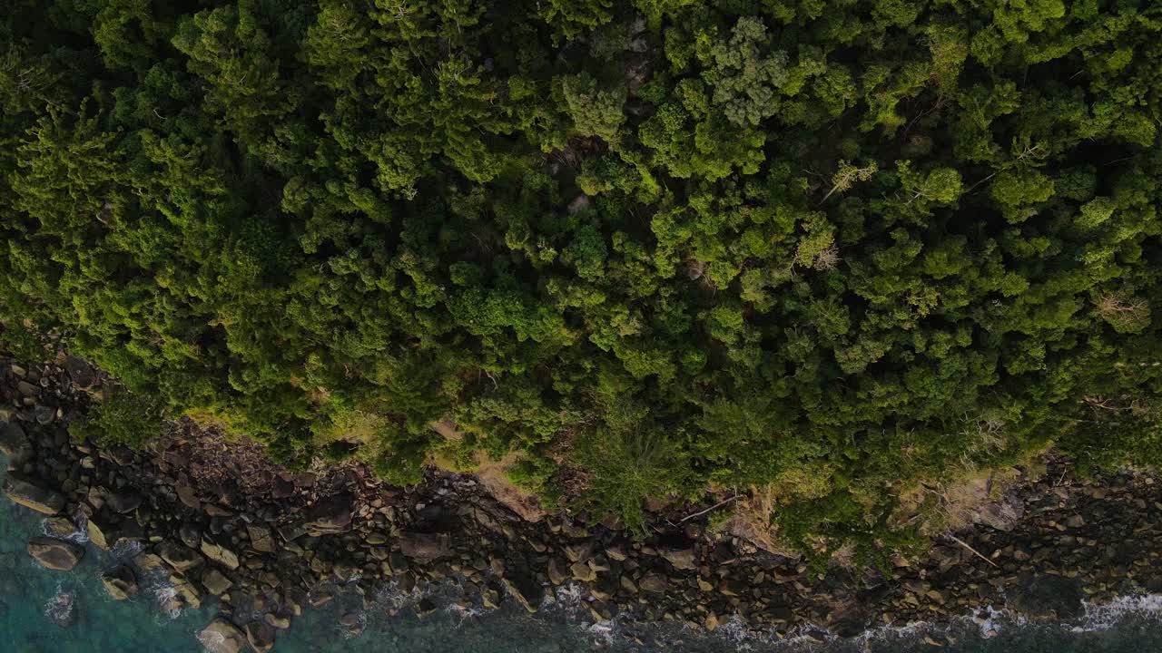 paisaje acuático azul del mar de coral y vegetación exuberante de la isla gancho en el parque nacional de la isla de whitsunday en queensland, australia