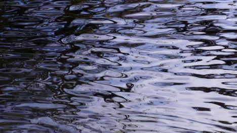 distorted reflections create patterns in water