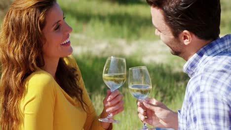pareja brindando un vaso de vino en una granja de olivos 4k