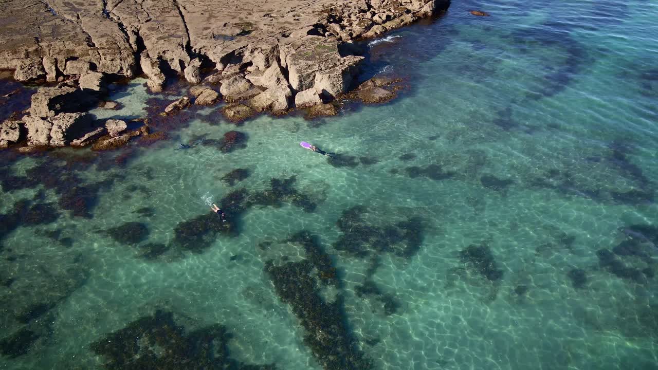 antena circular lenta sobre un grupo de personas buceando con rayas águila a lo largo de la costa rocosa de la reserva marina de la isla de cabra, nueva zelanda