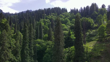 Drone-Shot-of-a-small-village-in-Sainj-Valley-in-Himachal-Pradesh-near-Manali,-Kasol-13