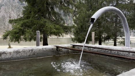 Nahaufnahme-Eines-Brunnens,-Der-In-Ein-Becken-Fließt,-Und-Bäume-Im-Hintergrund