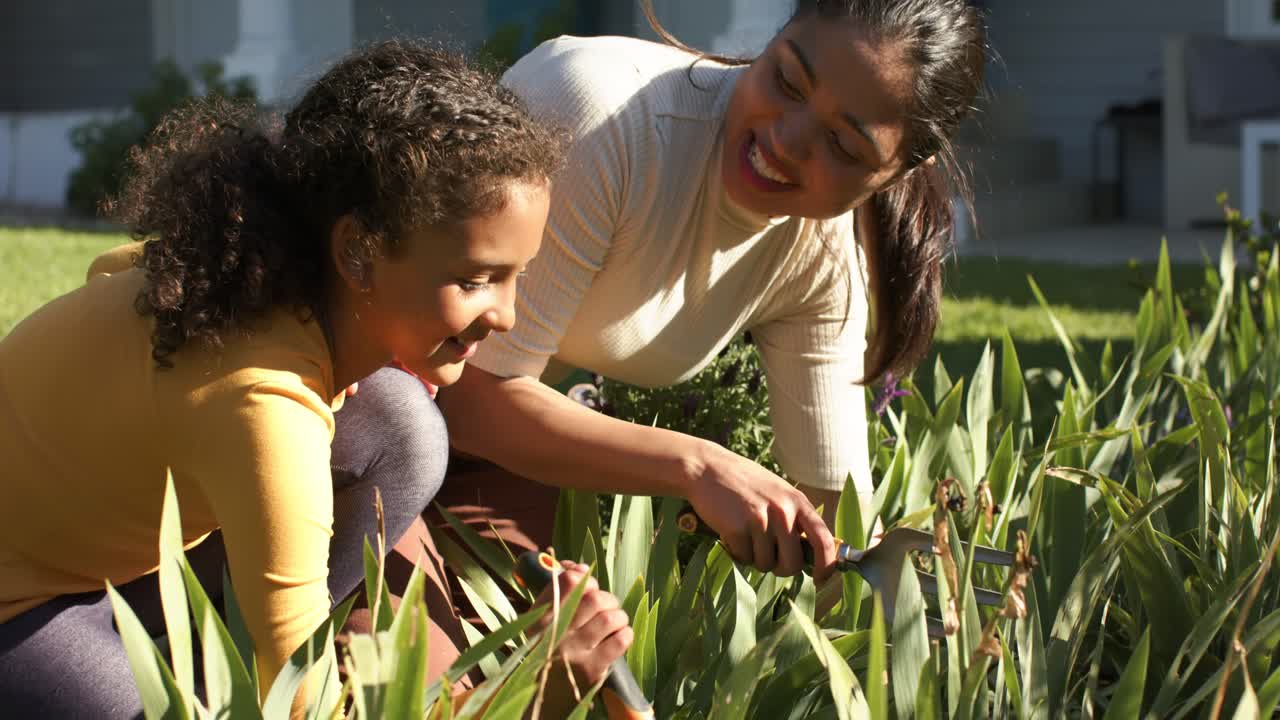 Diverse mother and daughter walking to garden bed, kneeling, clipping spent blooms with shears