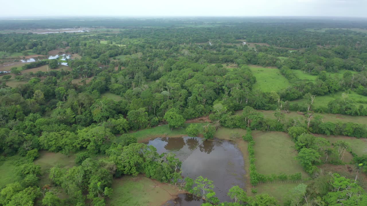 vista del pantano en humedales, república dominicana