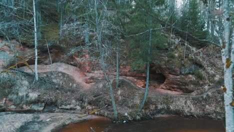 Sendero-Natural-Cecilu-En-Ieriki,-Letonia