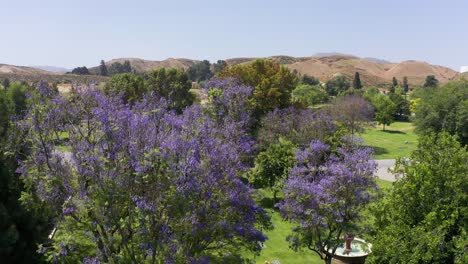 Aerial-low-rising-shot-of-the-manicured-grounds-of-a-Southern-California-mortuary