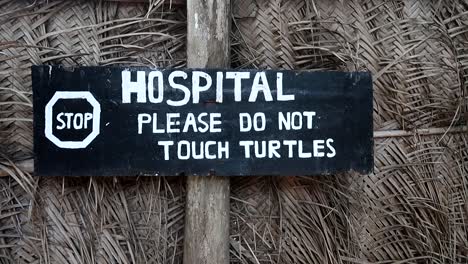 stable shot of a warning sign at a turtle hospital in africa saying please do not touch turtles