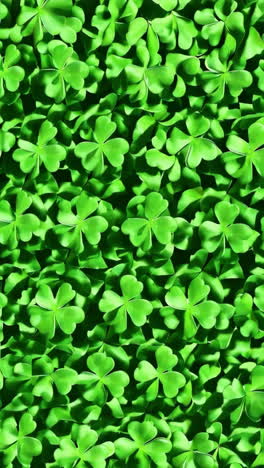 field of green clovers