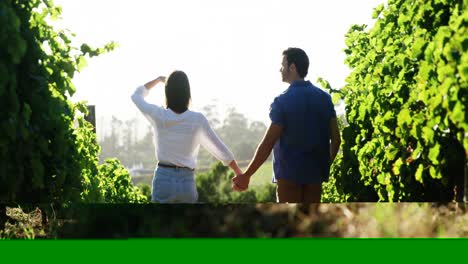 Couple-standing-in-vineyard-on-a-sunny-day