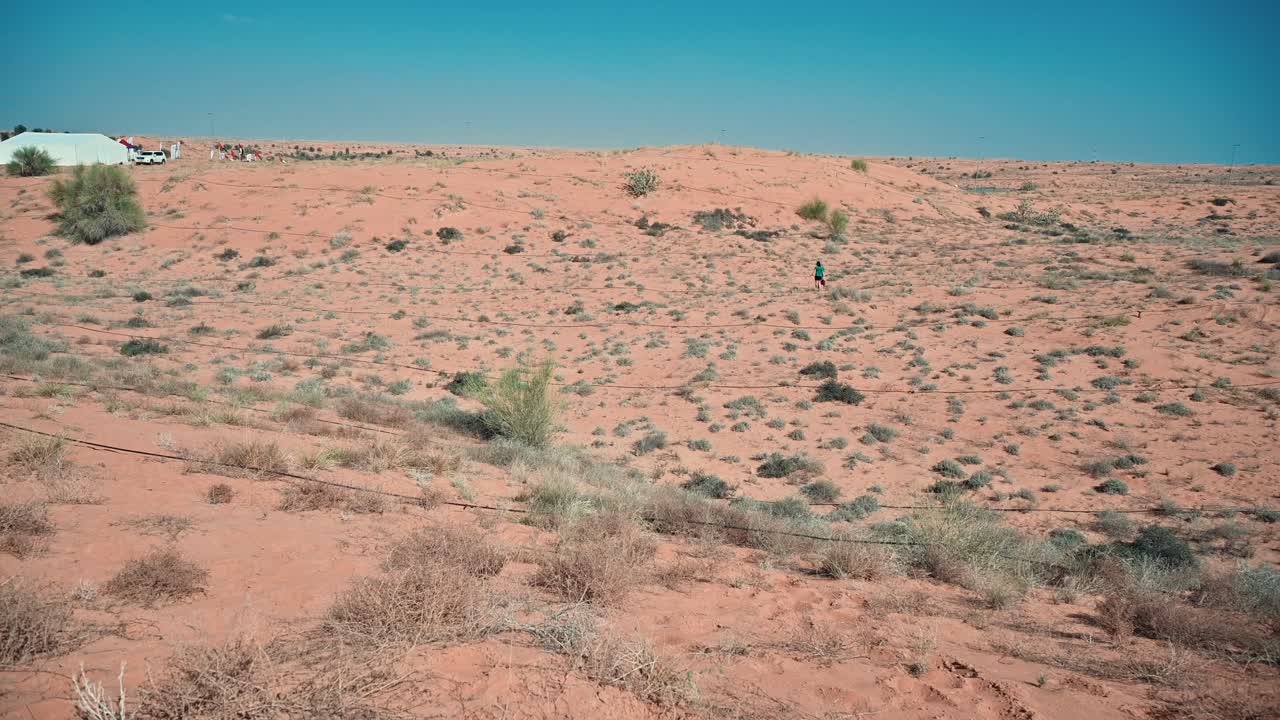 The Arabian desert landscape in the UAE, featuring patches of green plants and trees