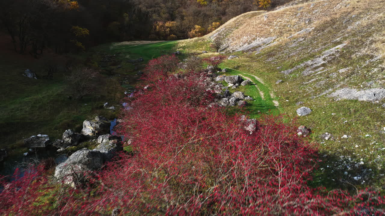 Aerial drone view of a narrow Moldovan valley with red autumn bushes, rocky slopes, and a winding green path