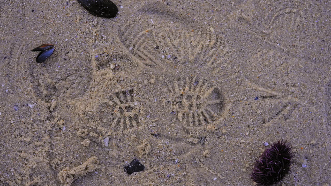 Set of wet sandy boot imprints left of coastal beach, looking down viewpoint