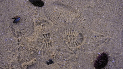 Set-of-wet-sandy-boot-imprints-left-of-coastal-beach,-looking-down-viewpoint