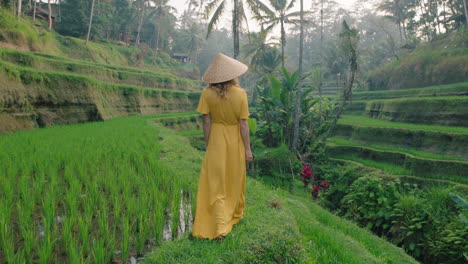 travel woman in rice paddy wearing yellow dress with hat exploring lush green rice terrace walking in cultural landscape exotic vacation through bali indonesia discover asia