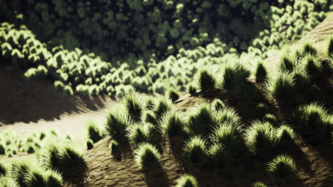 Lush green landscape bathed in sunlight creates a serene natural retreat