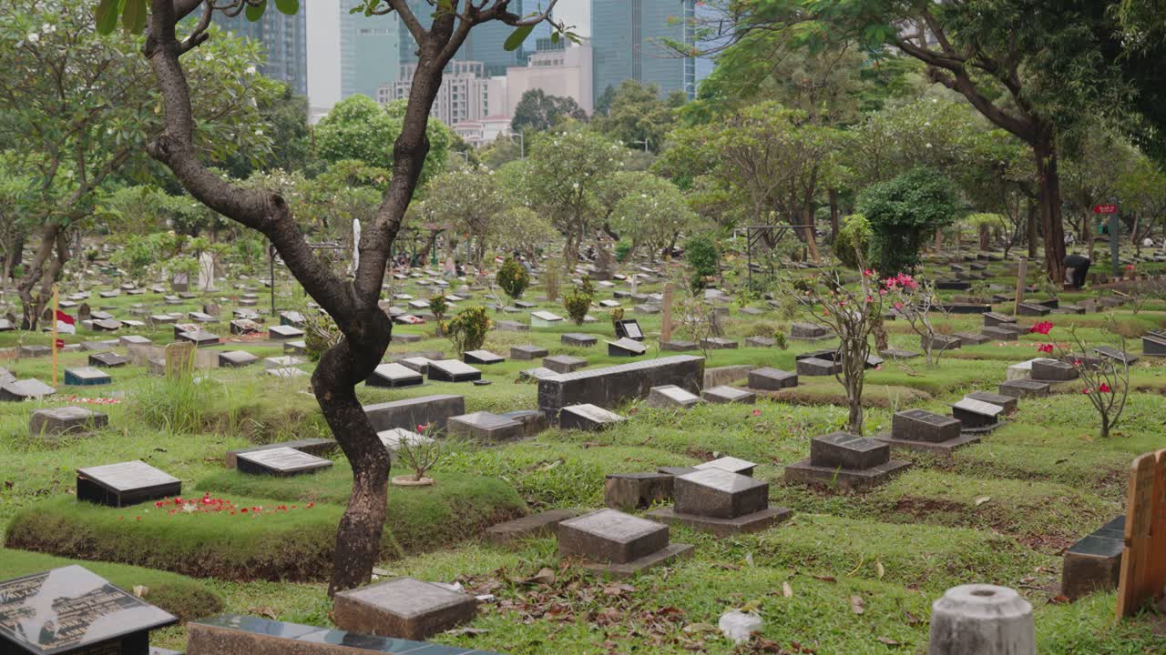 Cimitero urbano con numerose lapidi e vegetazione