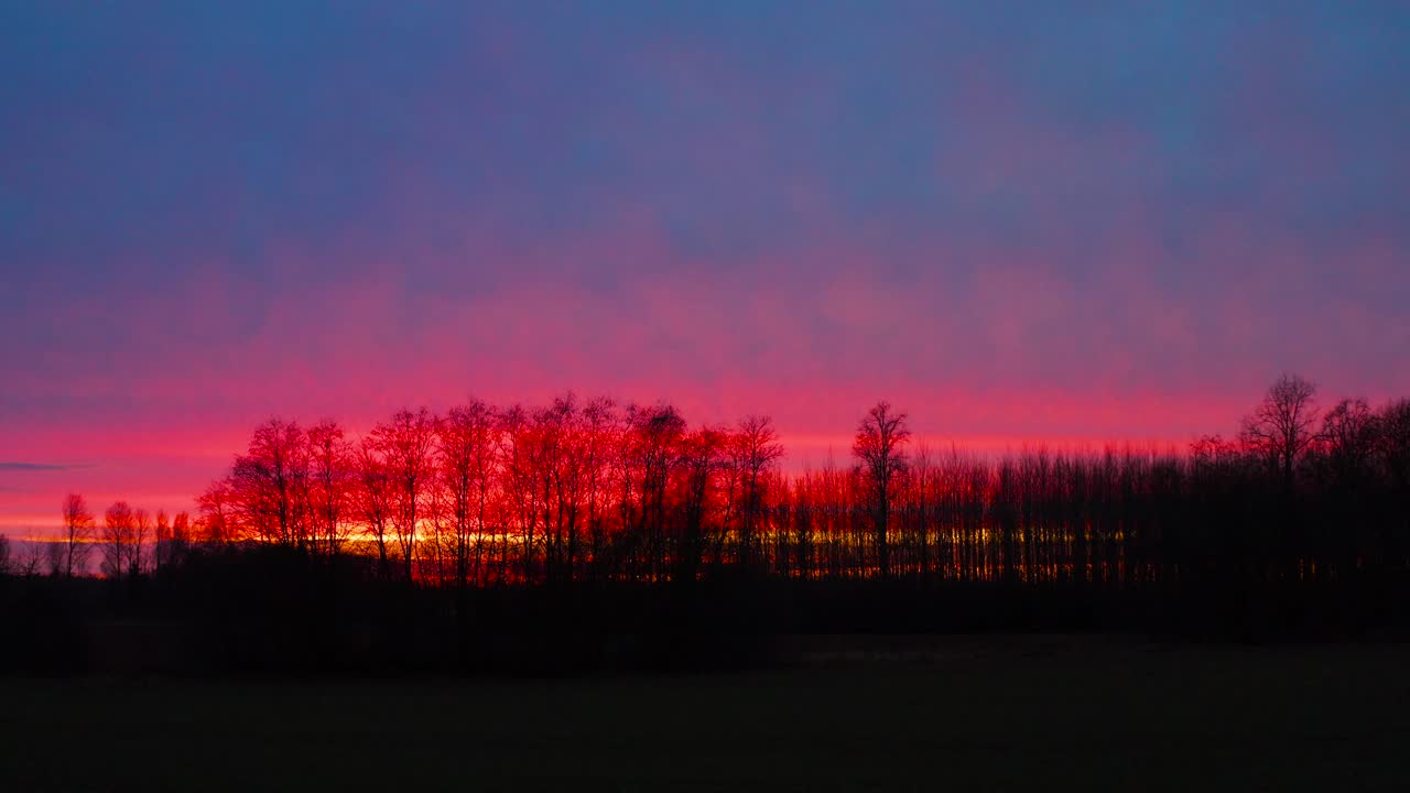 생동감 넘치는 황금 시간 해가 지는 하늘에 어두운 시골 숲의 실루
