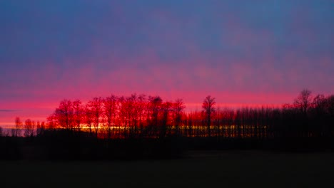 silhueta de bosque de campo oscuro en el cielo vibrante de la hora dorada del atardecer