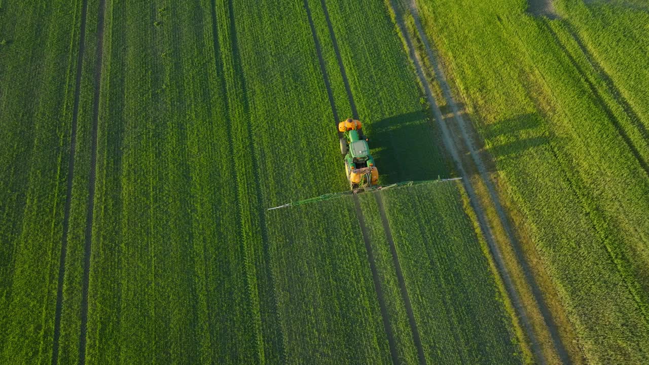 Vista aerea panoramica di un agricoltore che irrora i campi coltivati con trattore, irrorazione di pesticidi e fertilizzanti, sera d'estate soleggiata, luce dell'ora d'oro, ampia ripresa aerea con drone in avanzamento