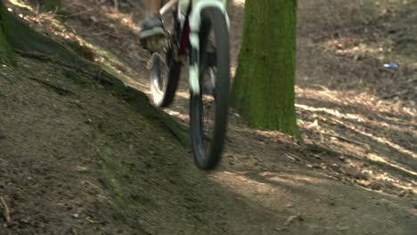 slow motion shot of man riding mountain bike through woods