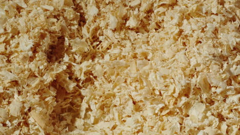 wood shavings