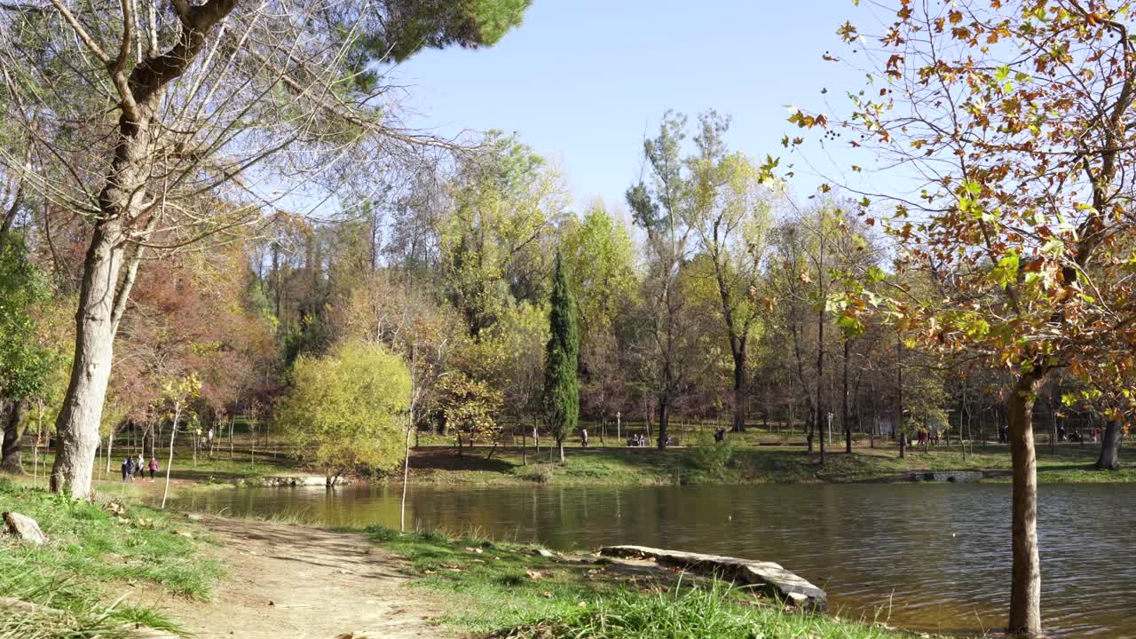 Baie calme d'un lac aux couleurs vert-jaune de l'automne dans un magnifique parc naturel, avec des promeneurs par une journée ensoleillée