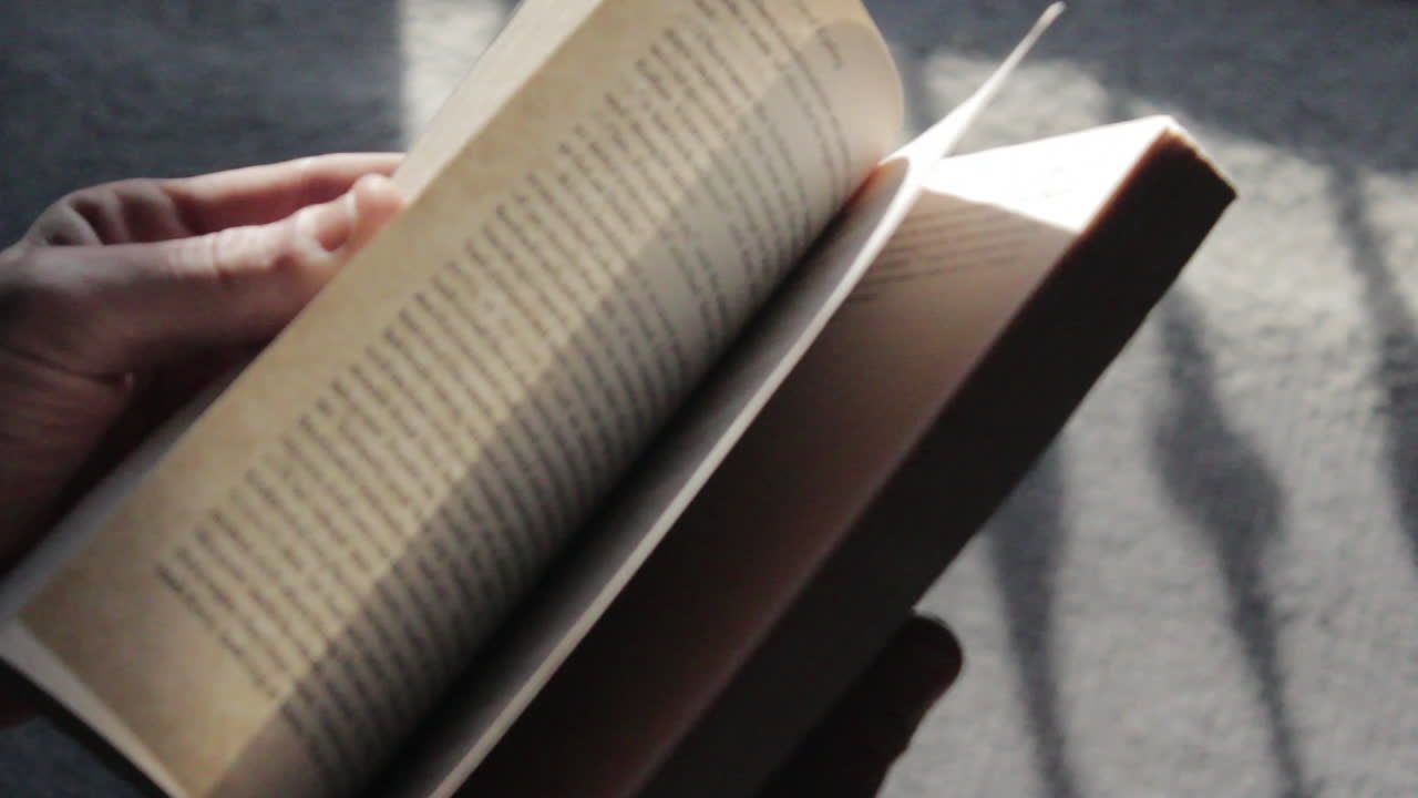 부드러운 빛으로 온화하고 몽환적인 질감으로 뒤집힌 흐릿한 책 페이지